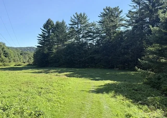 Photo 4 of Land for sale at Peavine Blvd, Bethel, VT 05032 | MLS# 5046570 | Listing updated on 2026-08-30