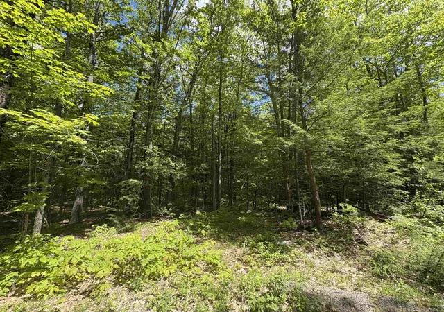 Photo 2 of Land for sale at Craig Rd, Antrim, NH 03440 | MLS# 5046605 | Listing updated on 2026-10-08