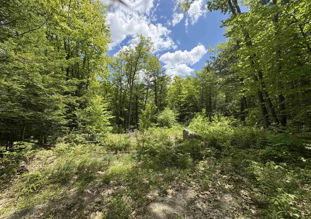 Photo 3 of Land for sale at Craig Rd, Antrim, NH 03440 | MLS# 5046605 | Listing updated on 2026-10-08