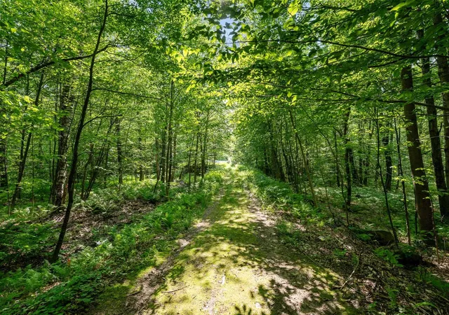 1st image of 115 Stone Hill Rd, Bolton, VT 05477 | MLS# 5047840