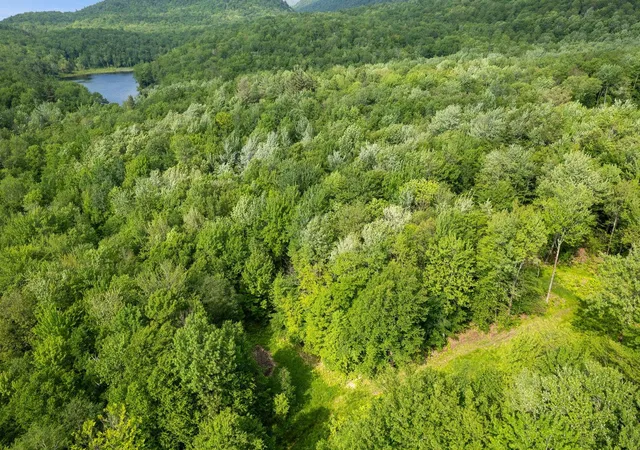 34th image of 115 Stone Hill Rd, Bolton, VT 05477 | MLS# 5047840