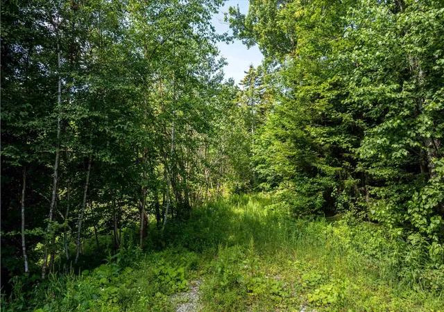 Photo 3 of Land for sale at 00 Turtle Hill Rd, Ludlow, VT 05149 | MLS# 5051137 | Listing updated on 2026-09-15