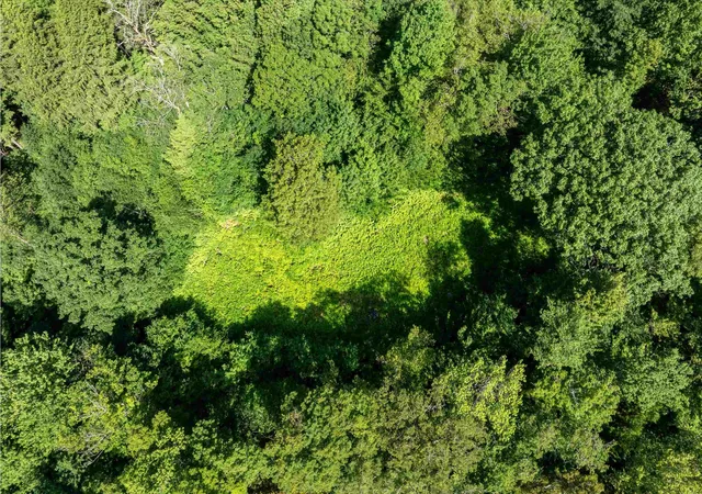 Photo 3 of Land for sale at 00 Turtle Hill Rd, Ludlow, VT 05149 | MLS# 5051137 | Listing updated on 2026-09-15