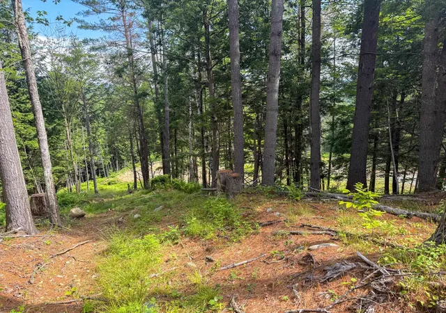 12th image of 567 Sawnee Bean Rd, Thetford, VT 05075 | MLS# 5051254