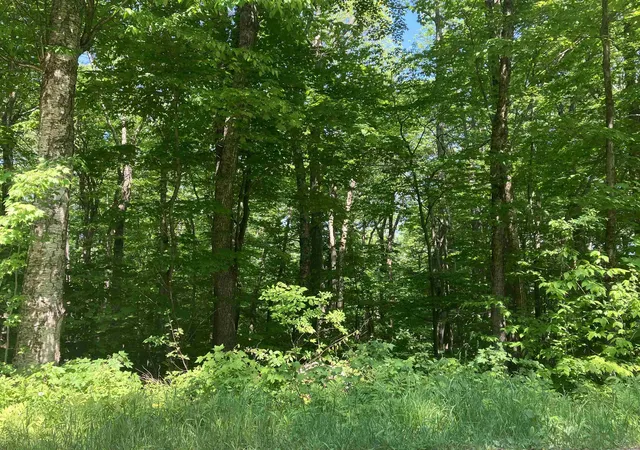 Homes for sale in Wilmington, VT | 30 Upper Howes Way, Wilmington, VT 05363 | MLS# 5052334