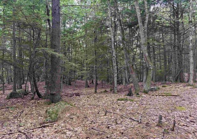 Land for sale at Lot R11-11-1 Forest Rd, Hancock, NH 03449 | MLS# 5052925