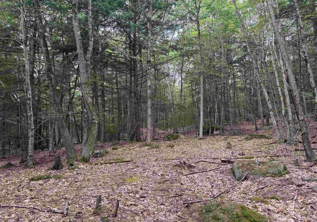Photo 2 of Land for sale at Lot R11 11 1 Forest Rd, Hancock, NH 03449 | MLS# 5052925 | Listing updated on 2026-08-26