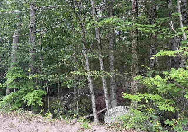 Photo 3 of Land for sale at Lot R11 11 1 Forest Rd, Hancock, NH 03449 | MLS# 5052925 | Listing updated on 2026-08-26