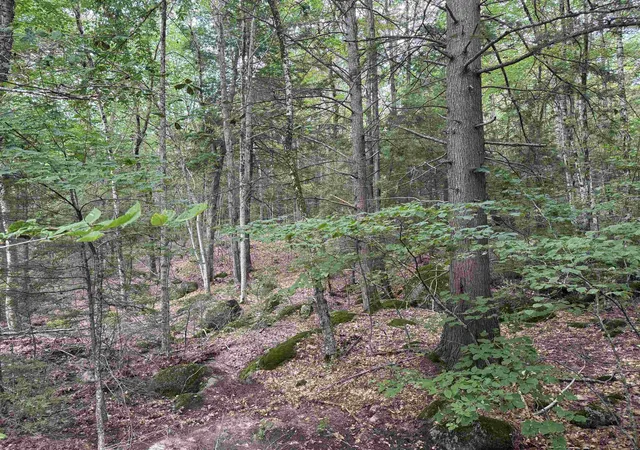 Photo 3 of Land for sale at Lot R11-11-1 Forest Rd, Hancock, NH 03449 | MLS# 5052925 | Listing updated on 2026-08-26