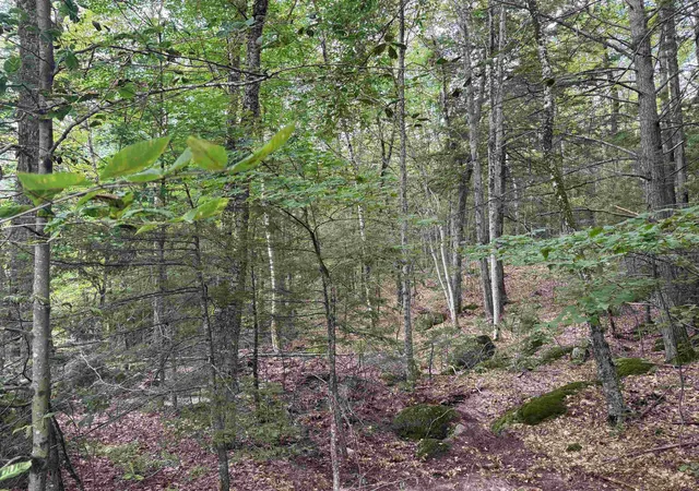 Photo 4 of Land for sale at Lot R11-11-1 Forest Rd, Hancock, NH 03449 | MLS# 5052925 | Listing updated on 2026-08-26