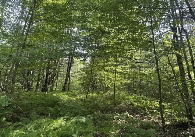 Homes for sale in Chester, VT | 00 Vt Route 103 N, Chester, VT 05143 | MLS# 5052948