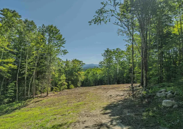 Homes for sale in Littleton, NH | 92-29 Birchcroft Dr, Littleton, NH 03561 | MLS# 5053280