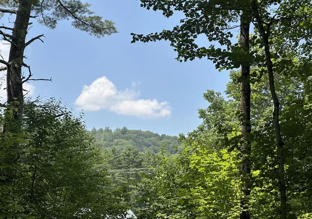 Homes for sale in Chester, VT | 00 Vermont Route 103, Chester, VT 05143 | MLS# 5053371
