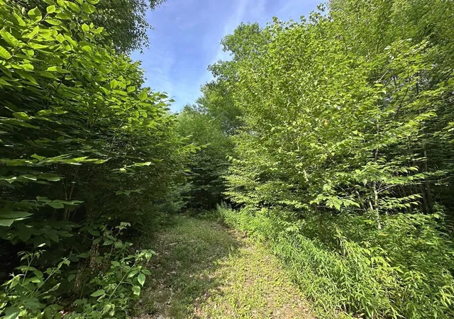 Homes for sale in Chester, VT | 00 Vermont Route 103, Chester, VT 05143 | MLS# 5053371