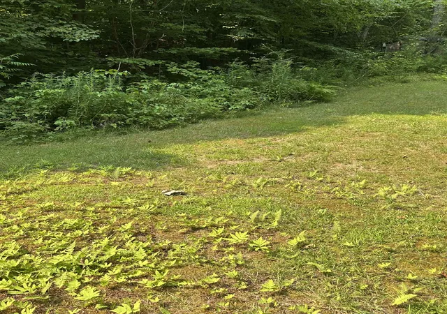 5th image of 51 Crane View Dr, Salisbury, VT 05769 | MLS# 5055351