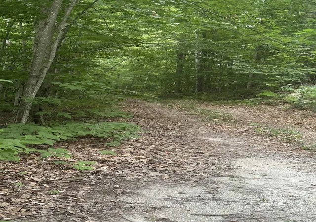8th image of 51 Crane View Dr, Salisbury, VT 05769 | MLS# 5055351