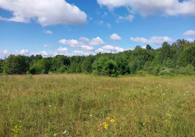29th image of 00 Walden Hill Rd, Danville, VT 05828 | MLS# 5055777