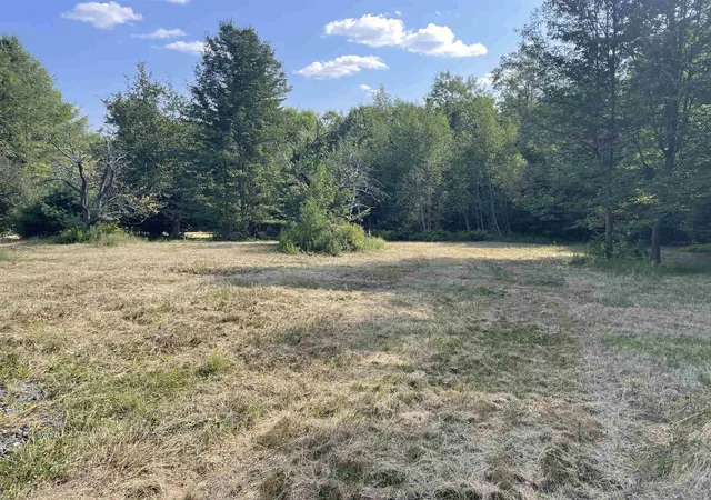 Homes for sale in West Halifax, VT | 491 Whitneyville Rd, West Halifax, VT 05358 | MLS# 5056172