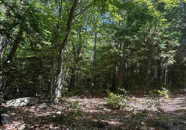 2nd image of 28 Sky Ln, Wolfeboro, NH 03894 | MLS# 5056983