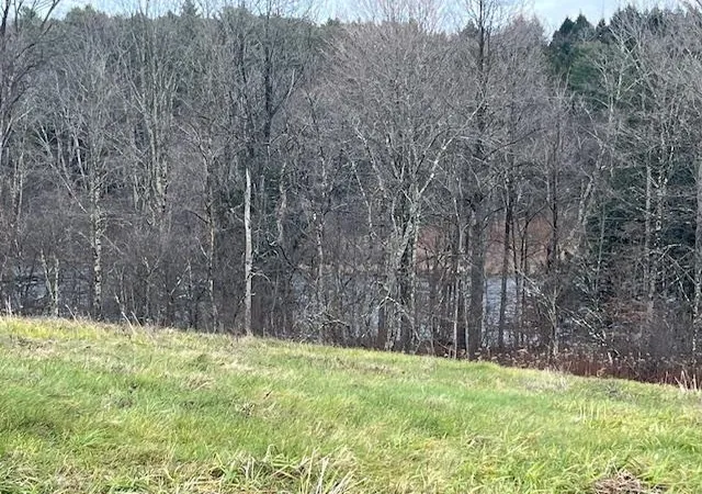 Photo 4 of Land for sale at 469D Mcnall Rd, Fairfax, VT 05454 | MLS# 5057124 | Listing updated on 2026-09-17