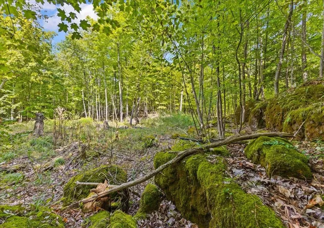 Photo 2 of Land for sale at 514 Red Rock Rd, Colchester, VT 05446 | MLS# 5059808 | Listing updated on 2026-08-21