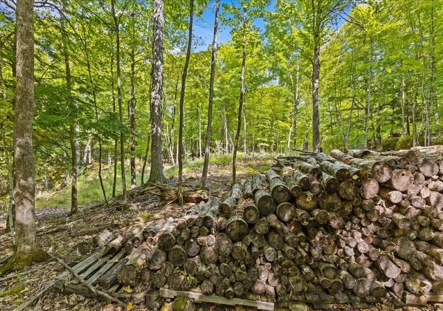 Photo 3 of Land for sale at 514 Red Rock Rd, Colchester, VT 05446 | MLS# 5059808 | Listing updated on 2026-08-21