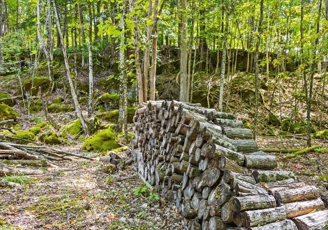 Photo 4 of Land for sale at 514 Red Rock Rd, Colchester, VT 05446 | MLS# 5059808 | Listing updated on 2026-09-30