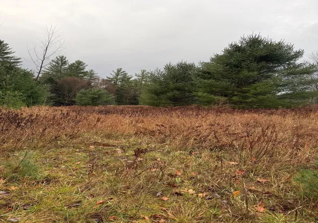Photo 3 of Land for sale at 352 North Cambridge Rd, Cambridge, VT 05444 | MLS# 5059832 | Listing updated on 2026-09-03