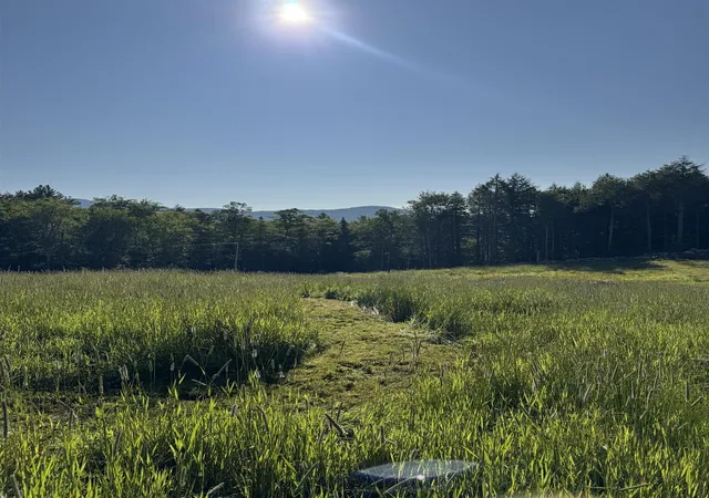 Photo 2 of Land for sale at 00 Parker Ln, Weston, VT 05161 | MLS# 5060075 | Listing updated on 2026-08-24