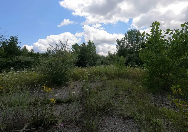 Photo 3 of Land for sale at 12 Lots For Sale On Mill St, Templeton, MA 01436 | MLS# 5060436 | Listing updated on 2026-09-04