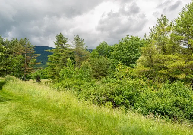 Homes for sale in Manchester, VT | 263 Kestrel Ct #F-17, Manchester, VT 05254 | MLS# 5061519
