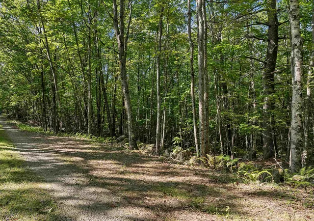 Homes for sale in Alton, NH | Chamberlain Rd, Alton, NH 03809 | MLS# 5061842