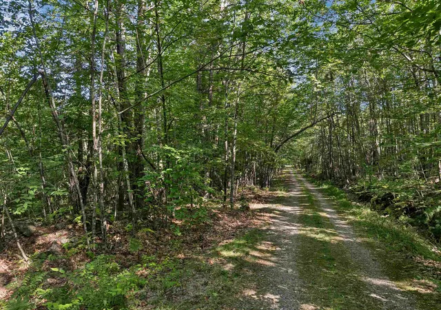 Homes for sale in Alton, NH | Chamberlain Rd, Alton, NH 03809 | MLS# 5061842