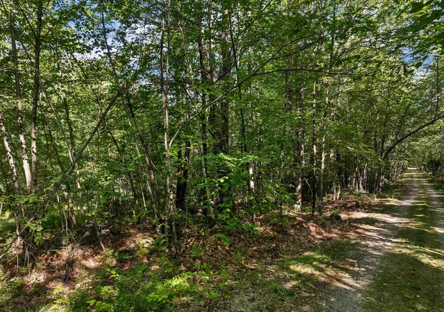 Homes for sale in Alton, NH | Chamberlain Rd, Alton, NH 03809 | MLS# 5061842