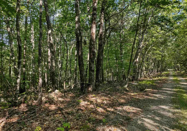 Homes for sale in Alton, NH | Chamberlain Rd, Alton, NH 03809 | MLS# 5061842