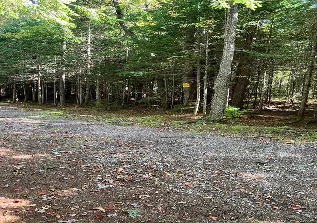 Homes for sale in Wilmington, VT | 0 Theresa Ln, Wilmington, VT 05363 | MLS# 5062132