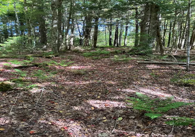 Homes for sale in Wilmington, VT | 0 Theresa Ln, Wilmington, VT 05363 | MLS# 5062132
