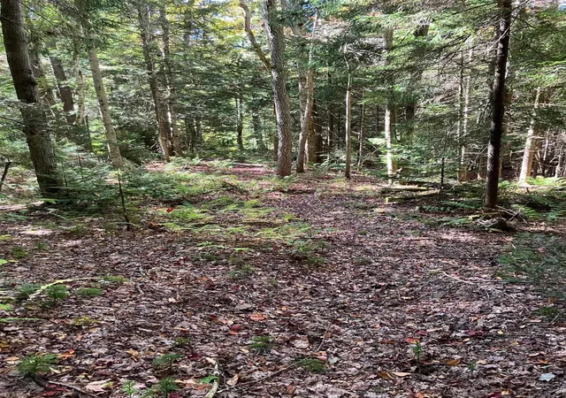 Homes for sale in Wilmington, VT | 0 Theresa Ln, Wilmington, VT 05363 | MLS# 5062132