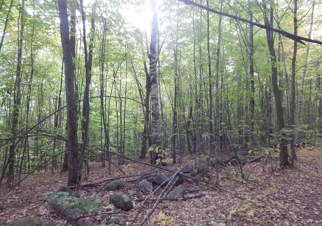 Photo 3 of Land for sale at 13/50 Corn Hill Rd, Brownfield, ME 04010 | MLS# 5063044 | Listing updated on 2026-09-19