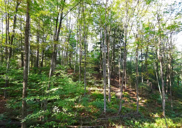Homes for sale in Hartford, VT | 0 Woodlawn Dr, Hartford, VT 05001 | MLS# 5063379