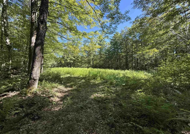 Homes for sale in Dorset, VT | 215 & 221 Vt Route 30, Dorset, VT 05251 | MLS# 5064340
