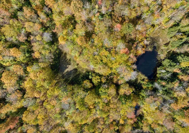 5th image of 00 Jones Ln, Wolcott, VT 05680 | MLS# 5064375