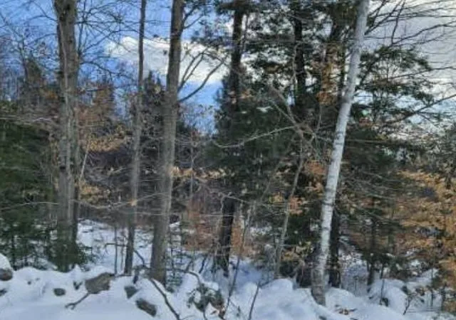 Photo 1 of Land for sale at Huntington Hl Rd, Weare, NH 03281 | MLS# 5064443 | Listing updated on 2025-11-11