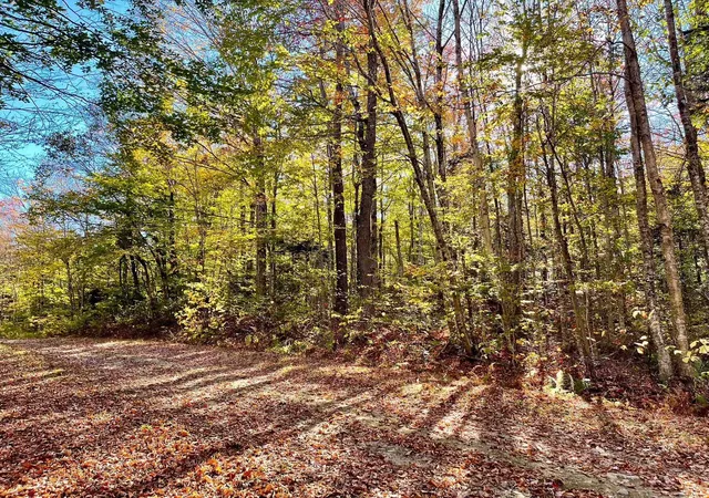 Homes for sale in Stamford, VT | 00 Oberdorf Rd, Stamford, VT 05352 | MLS# 5064834