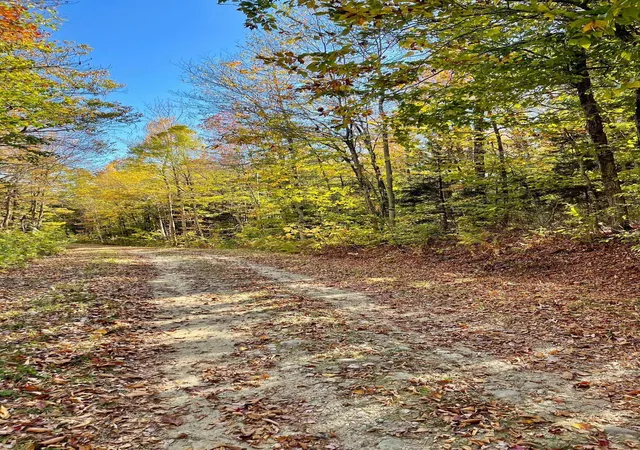 Homes for sale in Stamford, VT | 00 Oberdorf Rd, Stamford, VT 05352 | MLS# 5064834