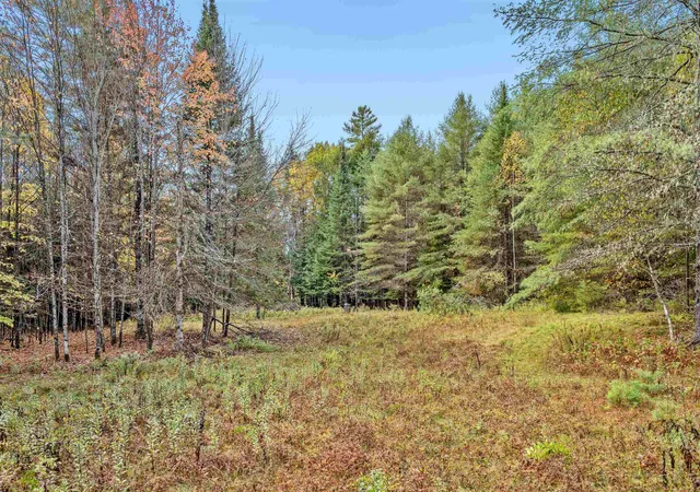 Homes for sale in Montpelier, VT | 0 Veo Rd, Montpelier, VT 05602 | MLS# 5065060