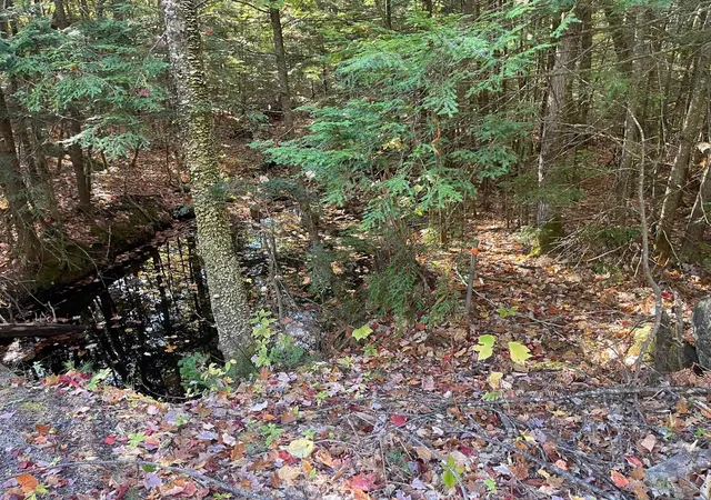 Photo 3 of Land for sale at 00 Mooney Hill Rd, Madison, NH 03849 | MLS# 5065338 | Listing updated on 2026-06-02