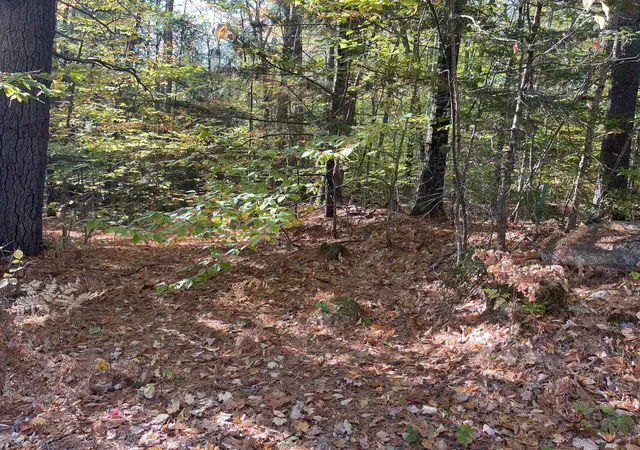 Photo 3 of Land for sale at 00 Mooney Hill Rd, Madison, NH 03849 | MLS# 5065338 | Listing updated on 2026-06-02
