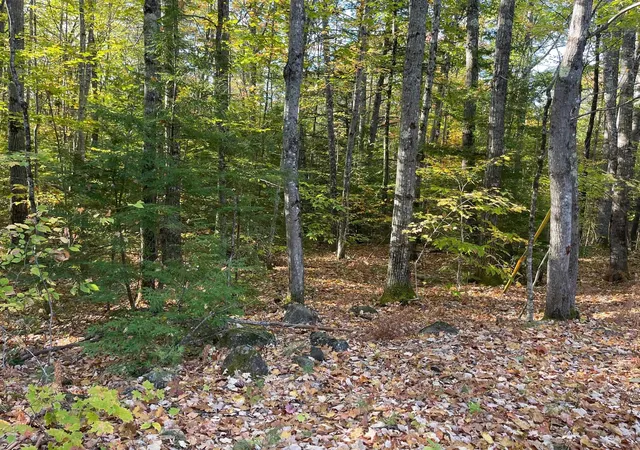 Photo 4 of Land for sale at 00 Mooney Hill Rd, Madison, NH 03849 | MLS# 5065338 | Listing updated on 2026-06-02