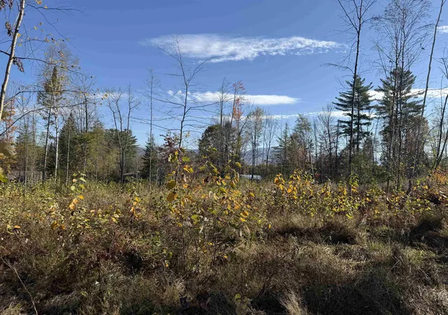 4th image of Lot 13 Hartco Ave, Lancaster, NH 03584 | MLS# 5065672